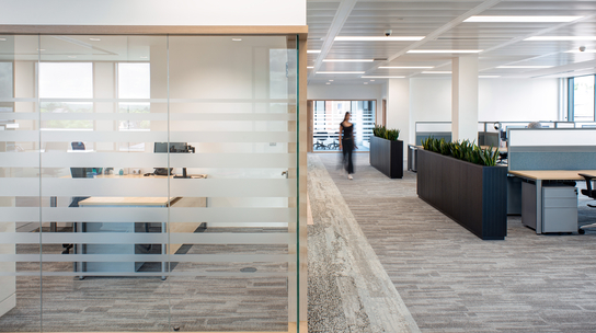 Company Office